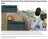 award beard brown camel camel_urine desert hadith islam muslims retarded sandnigger subvariant:tetojak variant:soyak // 1076x874 // 926.3KB
