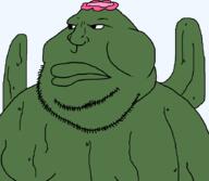 cactus desert green_skin plant transparent_background variant:meximutt // 888x773 // 19.5KB