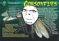 animal bio bug closed_mouth cobsonfly dobsonfly glasses meta:tagme pun smile stubble text variant:cobson // 1403x997 // 3.4MB