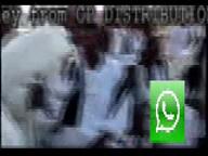 arabfunny arabic_text barely_a_soyjak goat low_resolution sudan variant:soytan whatsapp // 160x120, 19.9s // 3.0MB