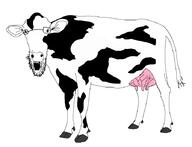 animal cow ear full_body glasses open_mouth soyjak stubble variant:unknown // 895x687 // 78.2KB