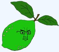 citrus food fruit glasses lemon_(user) lime meta:leaky meta:namefags meta:op_is_a_retarded_lazy_faggot_for_not_tagging_his_own_shit meta:tagme variant:chudjak // 1607x1421 // 69.1KB
