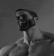 brain dumb gigachad grey_skin huge_brain idiot intelligence intelligent nas:gigachad reading smart // 569x586 // 7.9MB