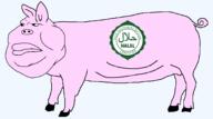 allah halal muhammad pig swine // 1780x992 // 95.0KB