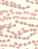 camouflage desert sand variant:feraljak // 1969x2559 // 576.1KB