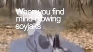 ad arial blue_board closed_mouth doctor dollar_sign dr_soyberg ext=mp4 forest full_body gigachad glasses google google_maps grass gun ice_cream microphone mind_blowing nose open_mouth orangetext review rip smoke snarky_snappy soy soyjak soylent star_(symbol) stubble subvariant:wholesome_soyjak text tree variant:a24_slowburn_soyjak variant:gapejak variant:markiplier_soyjak video yotsoyba_b // 854x480, 15s // 1.6MB