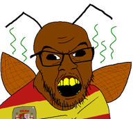 brown_skin coat_of_arms cockroach flag:spain meta:tagme moormutt roach shitskin spain spicniard spicroach spiс variant:feraljak // 1500x1354 // 853.2KB