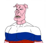 country flag:russia pig pigger russia russian_flag subvariant:mexibrute vatnik z_(russian_symbol) zigger // 1024x976 // 188.7KB