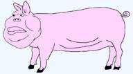 animal closed_mouth ear fat full_body lips pig pink_skin series:animaljaks soyjak swine tail variant:meximutt // 1780x992 // 27.8KB