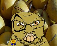 asian_pear award food fruit glasses series:fruiterz! series:operation_fruitjak soyjak subvariant:crazyguyjak variant:feraljak wrinkles // 1000x800 // 609.4KB