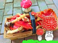 2soyjaks closed_mouth glasses iris mushroom soyjak stubble variant:fat_engineer_soyjak // 2000x1500 // 3.6MB