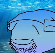 animal bald blue_skin calm closed_eyes closed_mouth fish glasses irl_background soyjak stubble underwater variant:unknown water // 500x483 // 153.3KB