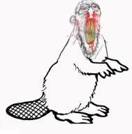 angry animal beaver blood bloodshot_eyes clenched_teeth ear full_body gemeraldiest_comments_section💎💎💎enter_as_you_please💎💎💎 glasses nosebleed soyjak stubble subvariant:feralbeaver subvariant:feralrage tail variant:feraljak vein yellow_teeth // 708x720 // 114.1KB