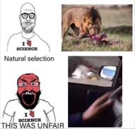 2soyjaks animated homeless i_love irl lion meta:tagme subvariant:science_lover this_was_unfair variant:markiplier_soyjak variant:microplasticsjak // 752x720, 23.4s // 1.2MB