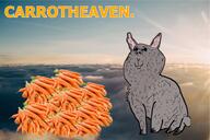 aryanheaven buck_teeth bunny_ears carrot chest_hair cloud crying cute dirty european_rabbit eyebrows fur gray_hair gray_skin happy heaven lines pile pink puppy_eyes rabbit series:animaljaks shading smirking subvariant:büninjaak sun tail variant:impish_soyak_ears // 1496x996 // 1.9MB