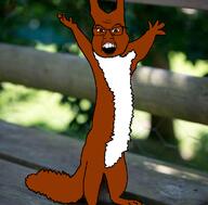 animal ear fur meta:tagme red_squirrel series:animaljaks soyjak squirreljak standing subvariant:feralsquirrel trend:squirreljakking variant:feraljak // 580x572 // 353.0KB