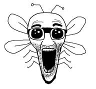 bald beard big_eyes bug cockroach fly gape glasses oh_my_god_she_is_so_attractive open_mouth roach soyjak stretched_chin stretched_mouth stubble variant:el_perro_rabioso wing // 1200x1115 // 155.5KB