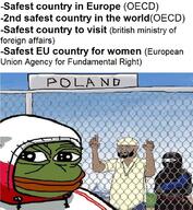 amphibian brown_skin burkha flag:poland frog green_skin islam jacket muslim_hat nas:pepe pepe_the_frog poland safe safest smug variant:wojak wojak // 724x786 // 249.3KB