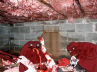 basement blood blood_drip blood_from_eyes blood_on_face blood_splatter bloodshot_eyes crying deep_wound eating entrails exposed_muscle full_body glasses gore groyper holding_object horror imminent_death intestines irl_background mutilation open_mouth red_skin skinned_face soyjak stubble torture variant:soyak // 959x720 // 1.2MB