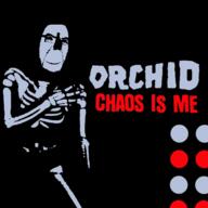 album_cover music orchid_(band) screamo skeleton smile teeth_showing variant:cobson // 500x500 // 83.2KB