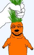 beard carrot glasses orange_skin variant:prematurejak // 728x1160 // 63.2KB