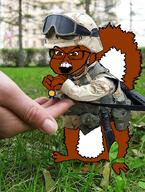 animal fur meta:tagme red_squirrel series:animaljaks soldier soyjak squirrel squirreljak subvariant:feralsquirrel variant:feraljak // 465x615 // 575.3KB