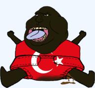 ack baby black_skin crescent diaper flag:turkiye meta:tagme meximutt mouth nigger open_mouth poop star_(symbol) star_and_crescent subvariant:ackmutt subvariant:pissbaby teeth tongue turkroach variant:meximutt yellow_teeth // 1083x1000 // 27.3KB