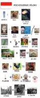 adolf_hitler baby fish frank_sinatra kurwa plunger poland variant:a24_slowburn_soyjak // 760x1835 // 322.8KB
