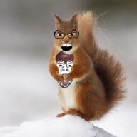 2soyjaks acorn bloodshot_eyes brown_eyes crying glasses irl mustache open_mouth soyjak squirrel stubble subvariant:feralsquirrel variant:bernd variant:feraljak yellow_teeth // 1200x1200 // 867.6KB