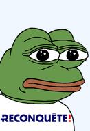 amphibian bald closed_mouth clothes europe france frog green_skin lips looking_at_you nas nas:pepe pepe pepe_the_frog politics reconquete transparent_background tshirt // 1344x1973 // 80.3KB