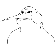 artist:shroot beak bird fat kiwi series:animaljaks series:muttverse subvariant:kiwimutt template transparent_background variant:meximutt // 1000x800 // 11.4KB