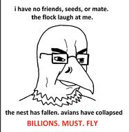 angry animal beak bird closed_mouth glasses millions_must_die soyjak text the_west_has_fallen variant:chudjak // 913x935 // 108.7KB