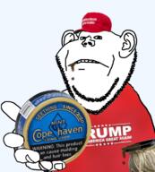 2020 cope copenhagen donald_trump ear election elections mudjug rigging seethe snus tobacco truthnuke variant:impish_soyak_ears // 1035x1151 // 744.0KB