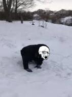 crying forest irl meta:tagme snow soyjak variant:soyak winter // 480x650 // 173.2KB