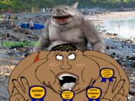 ahegao award badge beachcuck bestiality bikini blush bvll dirty eyes fat gay greentext hair irl irl_background king_shark nipple panties sand sex shark shitskin stubble subhuman subvariant:meximutt_front subvariant:mexiwhore text variant:meximutt waterparkGODSwonbtw // 1000x750 // 1.1MB