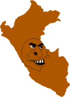 brown_skin map outline peru png transparent_background variant:peruvianmutt // 736x1014 // 86.7KB