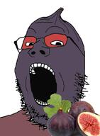 fig food fruit leaf red_glasses seed series:fruiterz! soyjak stem variant:gapejak // 947x1290 // 338.8KB