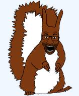 animal brown_hair series:animaljaks squirrel squirreljak variant:el_perro_rabioso // 680x830 // 20.1KB