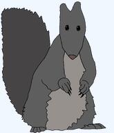 animal claws fur grey_squirrel long_ears long_nails long_nose meta:nas snout squirreljak subvariant:feralsquirrel subvariant:longsquirrel tail trend:squirreljakking // 2776x3230 // 254.3KB