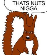 animal arm ear full_body glasses hand leg mustache open_mouth soyjak speech_bubble subvariant:feralsquirrel tail text trend:squirreljakking variant:feraljak // 320x375 // 53.9KB