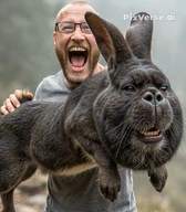 2soyjaks animal animated book flemish_giant full_body glasses holding_object meta:ai_generated nophono rabbit realistic shhlciades shitnobodycaresabout smile snca stubble subvariant:wholesome_soyjak text variant:gapejak variant:markiplier_soyjak // 448x512 // 5.6MB