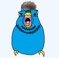 beak beard bird blue_skin glasses open_mouth series:x_inmigrants soyjak twitter variant:budgiejak xitter zoomer_hair // 640x630 // 55.6KB