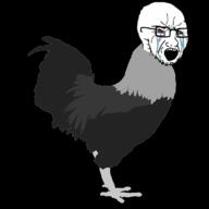 animal animated bbc bloodshot_eyes chicken crying fast glasses open_mouth rooster running soyjak stubble variant:soyak // 1200x1200 // 766.6KB
