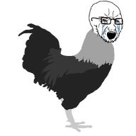 animal animated bbc bloodshot_eyes chicken crying fast glasses open_mouth rooster running soyjak stubble variant:soyak // 1200x1200 // 766.6KB