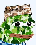 aliased amphibian bape bathing_ape frog nas:pepe neutral pepe_the_frog serious_hat staring // 720x900 // 481.7KB