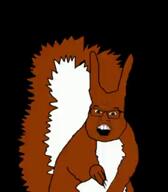 animated glasses masturbation open_mouth squirrel subvariant:feralsquirrel variant:feraljak // 280x320, 0s // 5.6KB