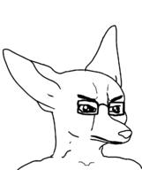 angry animal fennec_fox fox furry glasses meta:delete meta:nas variant:chudjak // 1000x1193 // 47.4KB