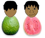 brazil food fruit goiaba guava nate subvariant:soyak_front variant:soyak vato_menezuelanos // 448x376 // 143.8KB