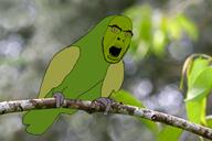 parrot // 4364x2909 // 780.0KB