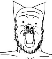 cat_ear no_glasses open_mouth series:unfunnycreature soyjak stubble unfunny_creature variant:a24_slowburn_soyjak // 455x520 // 10.7KB